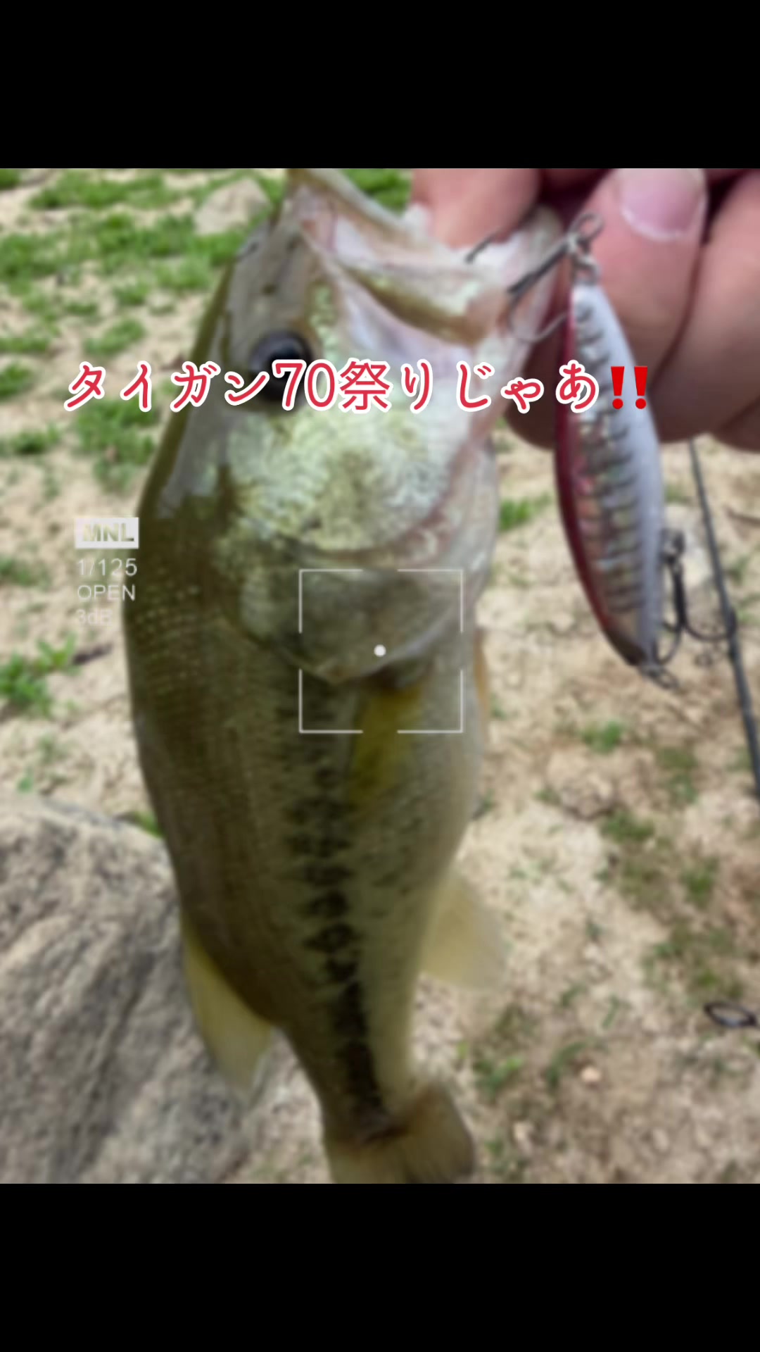 @片田舎のおっさんブラックバスを釣る