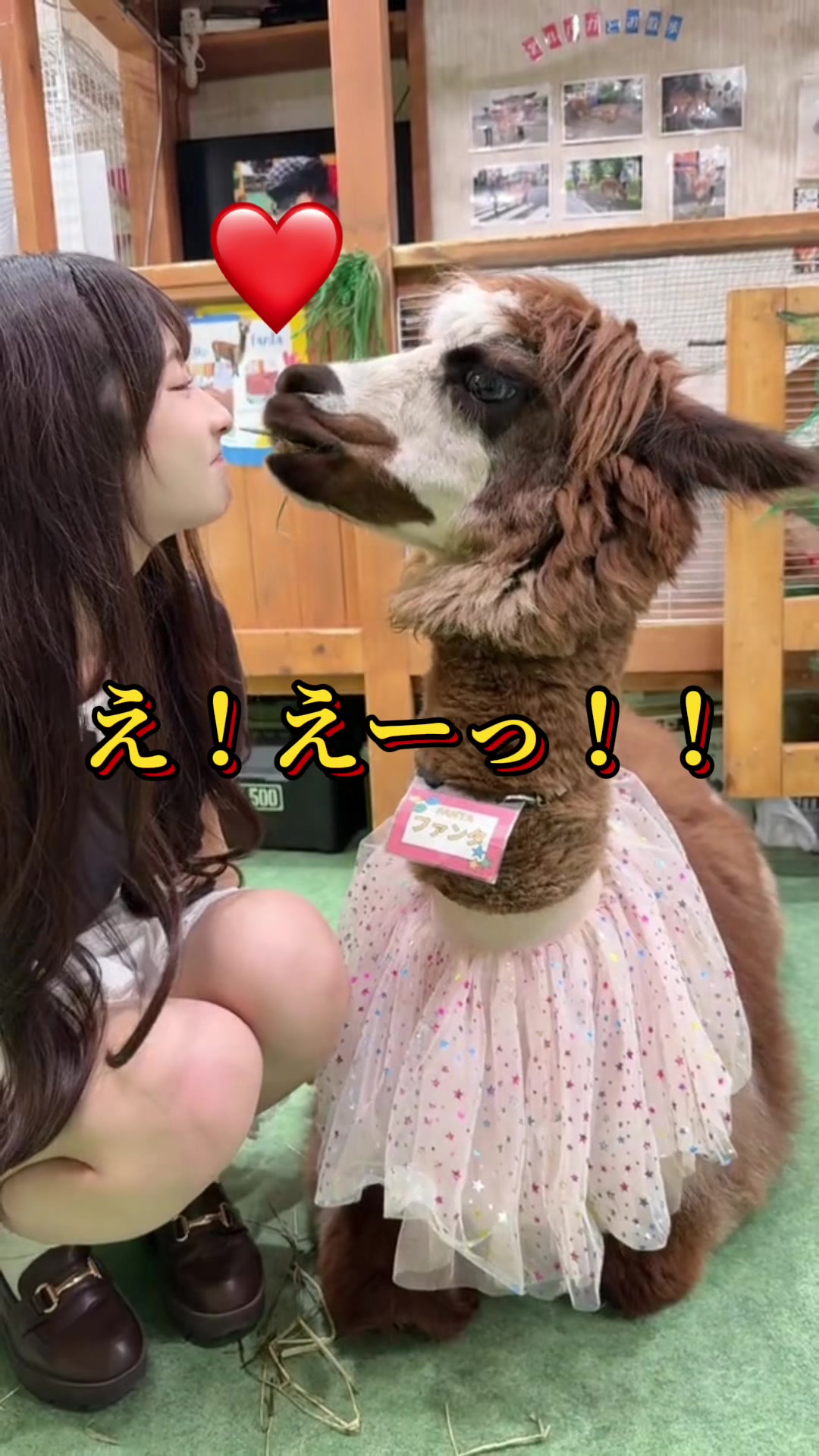 @ひなたあおあお!