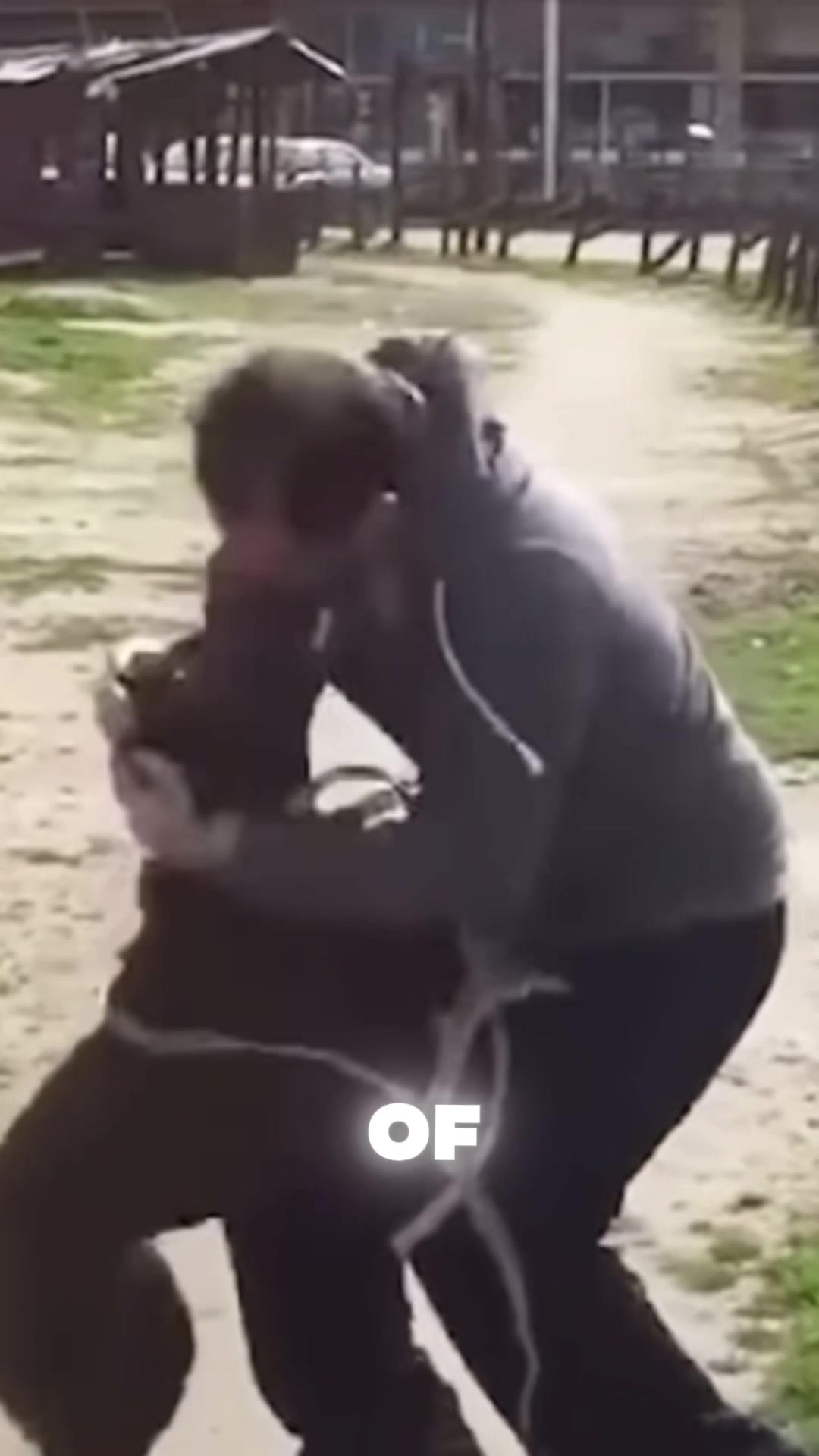 @K9 Kingz