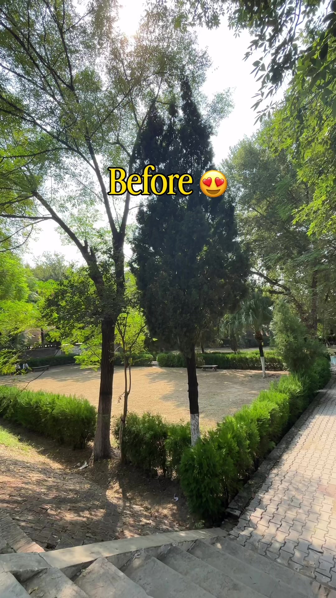@⚜️Student Of Attock⚜️