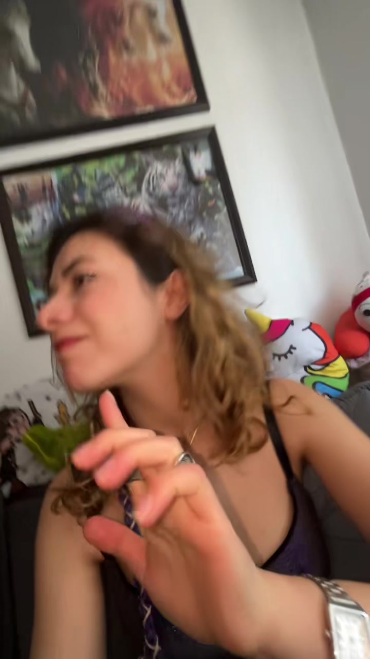 @ElfErd