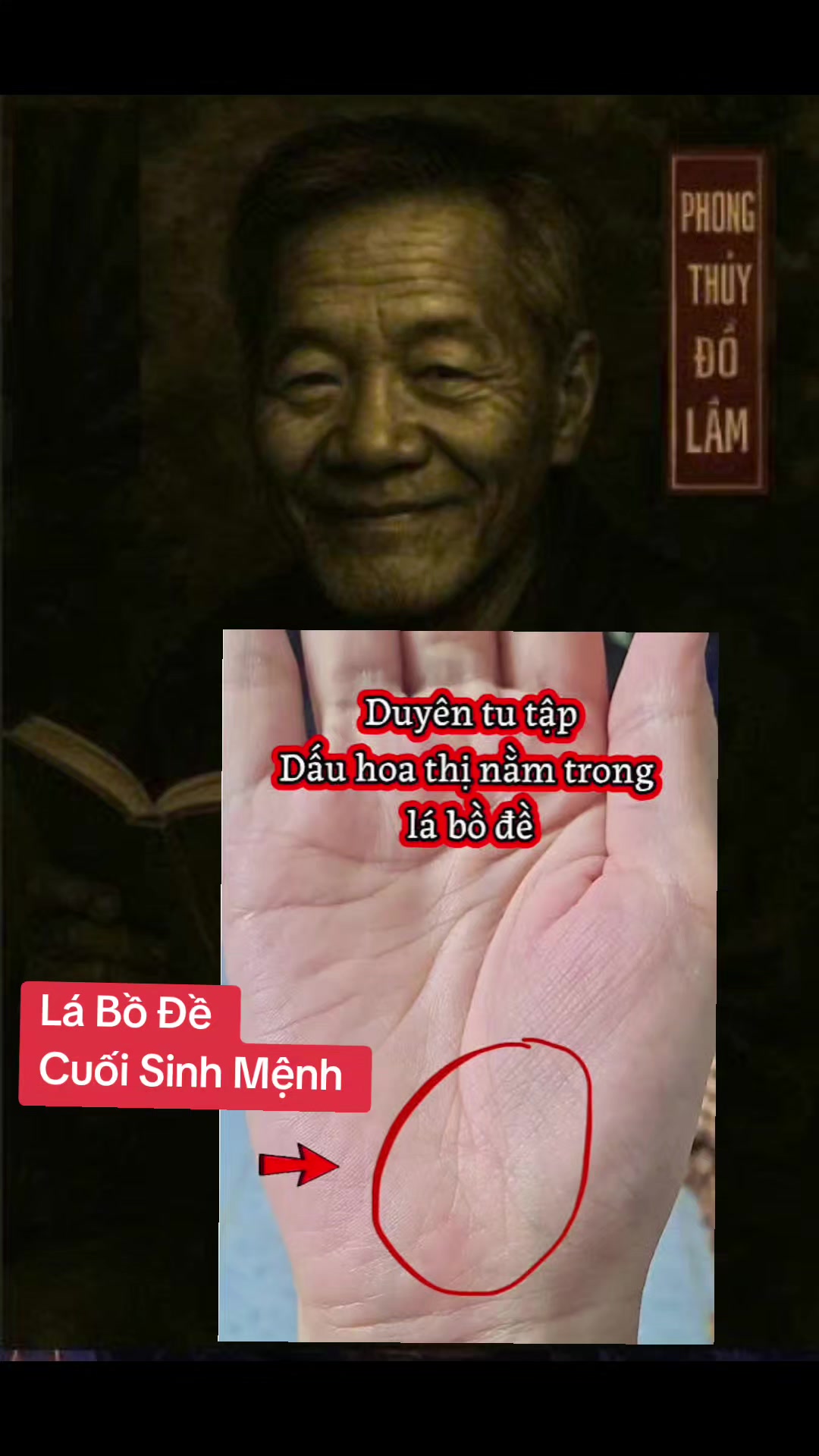 @Nhân Tướng Hiểu Mình