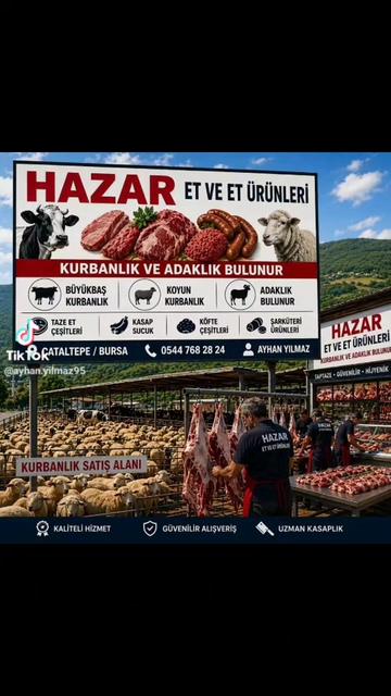 @🇹🇷🤘Zynp16🤘🇹🇷