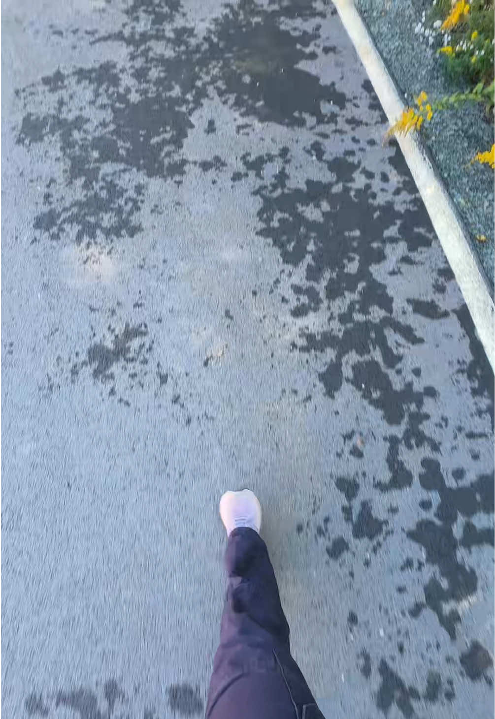 @alexantonecchia17