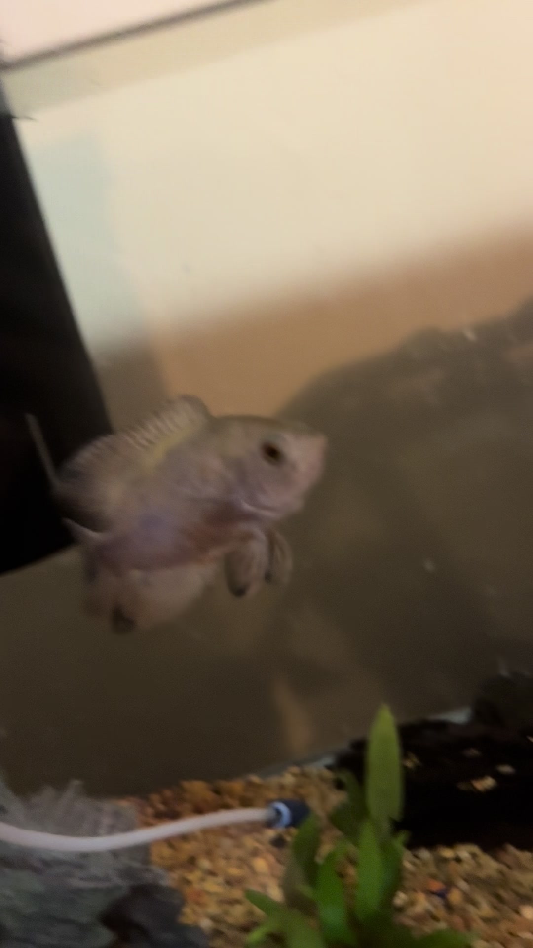 @fishdaddy2002