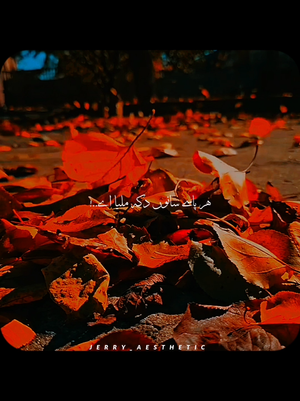 @𝘼𝙀𝙎𝙏𝙃𝙀𝙏𝙄𝘾~🩵🐼🕊️