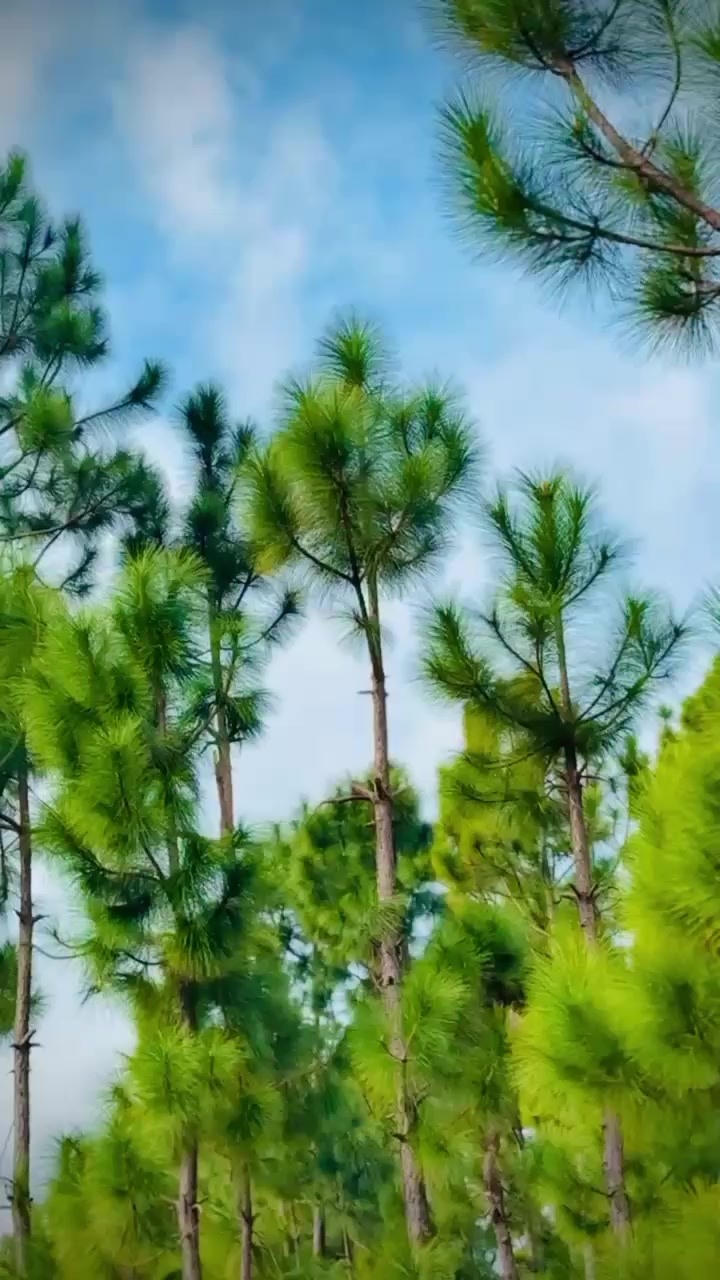 @𝑺𝒉𝒂𝒉𝒓𝒂𝒎 𝑮𝒖𝒍𝒂𝒃 🖤✌️