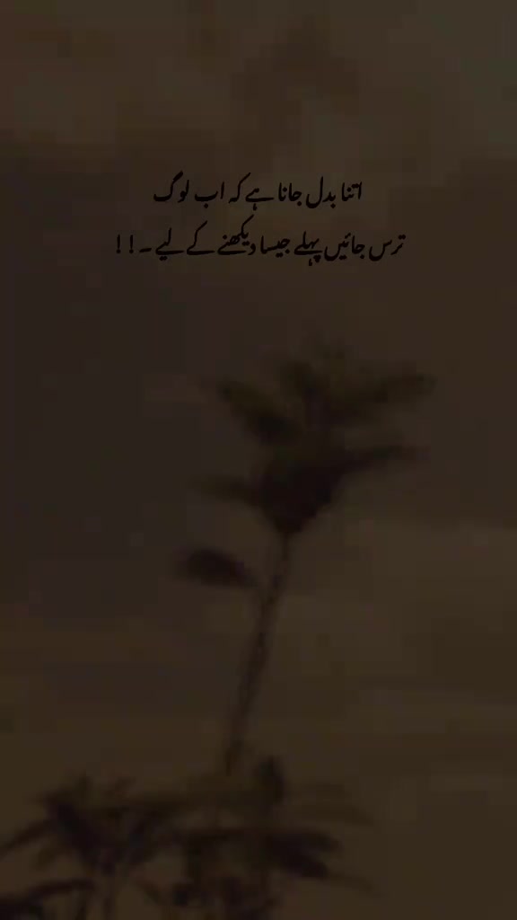 @Tayyab Khan