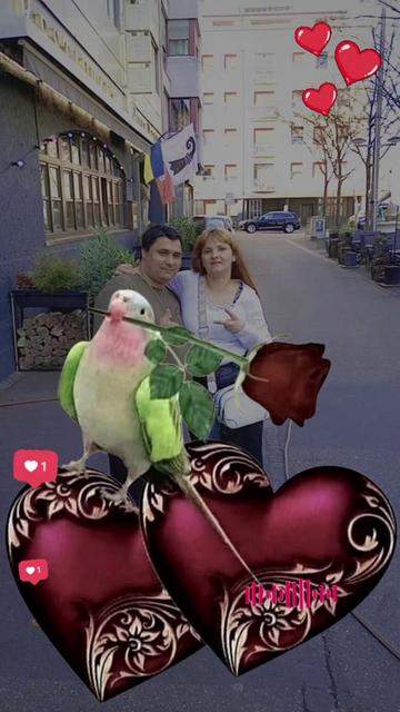 @мой любимий муж