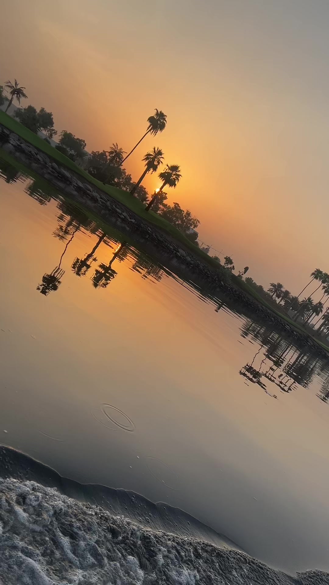 @sheikhhafeezoo774