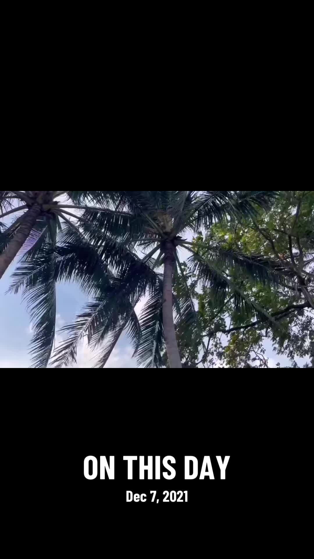 @Lunay Villafuerte
