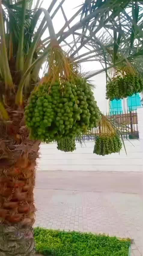 @Noushad kora