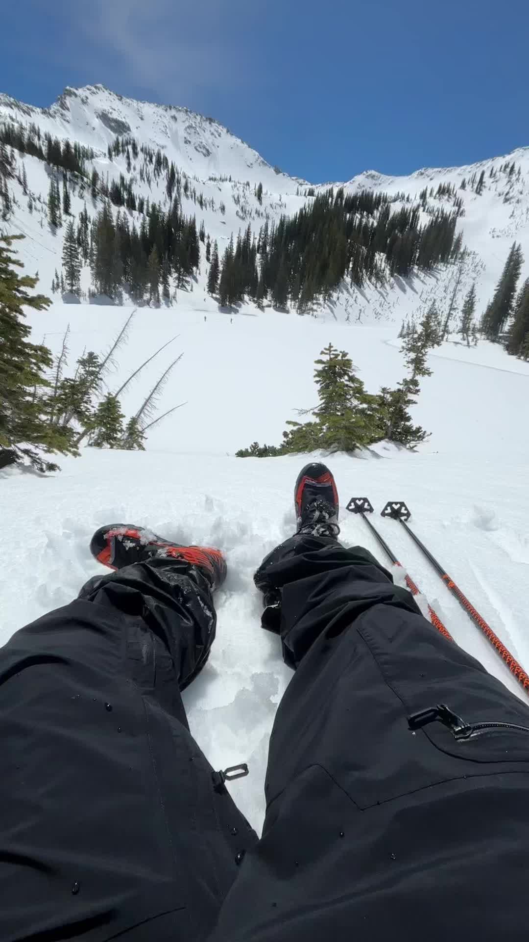 @bpdfilms