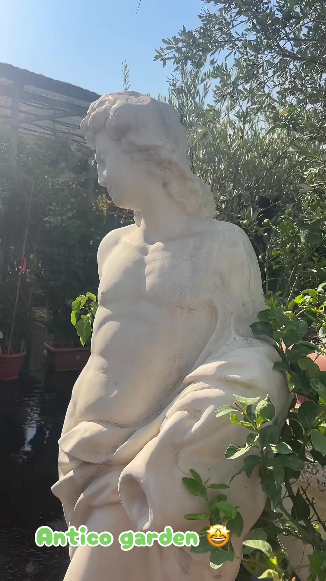 @vivaioanticogarden