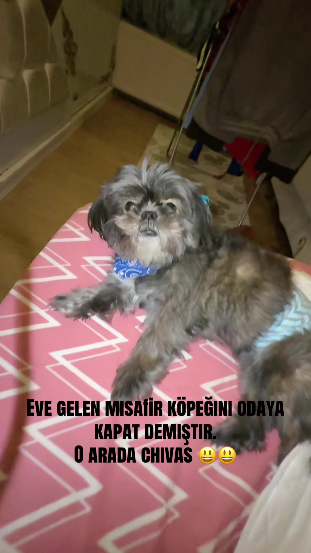 @Bgmkm