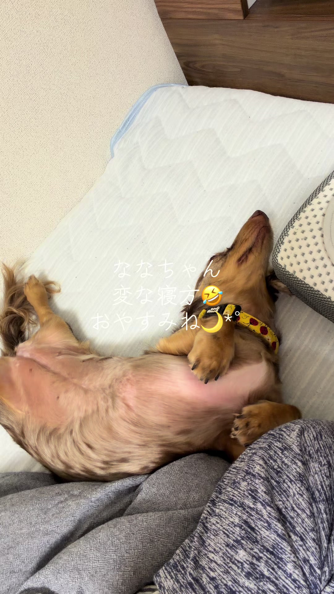 @ケン