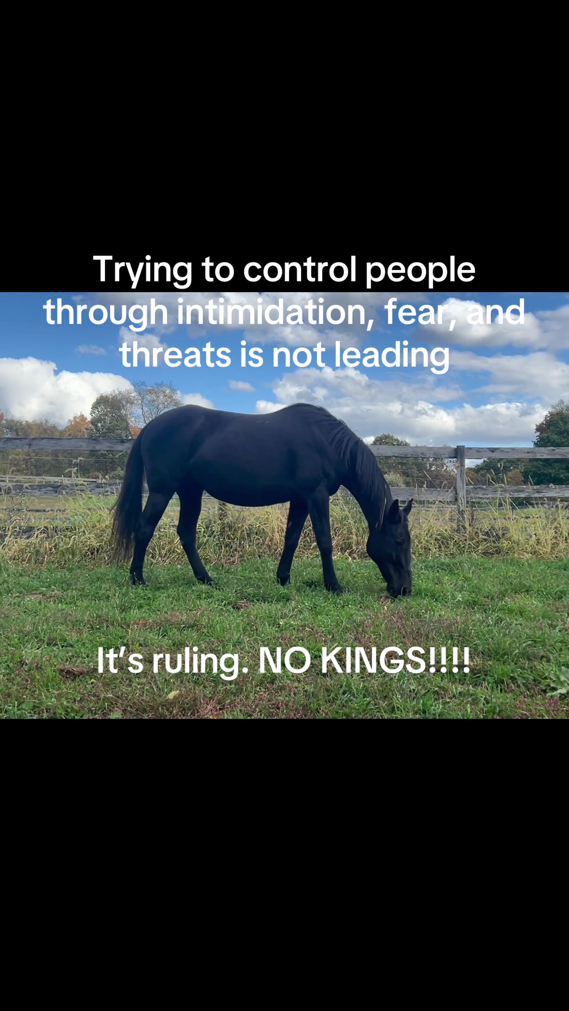 @Horseplay66