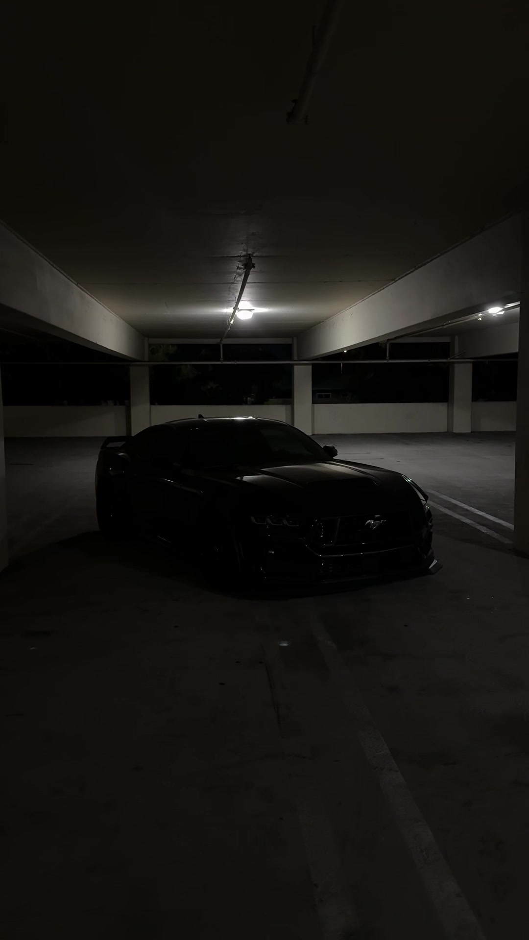 @alt_pony