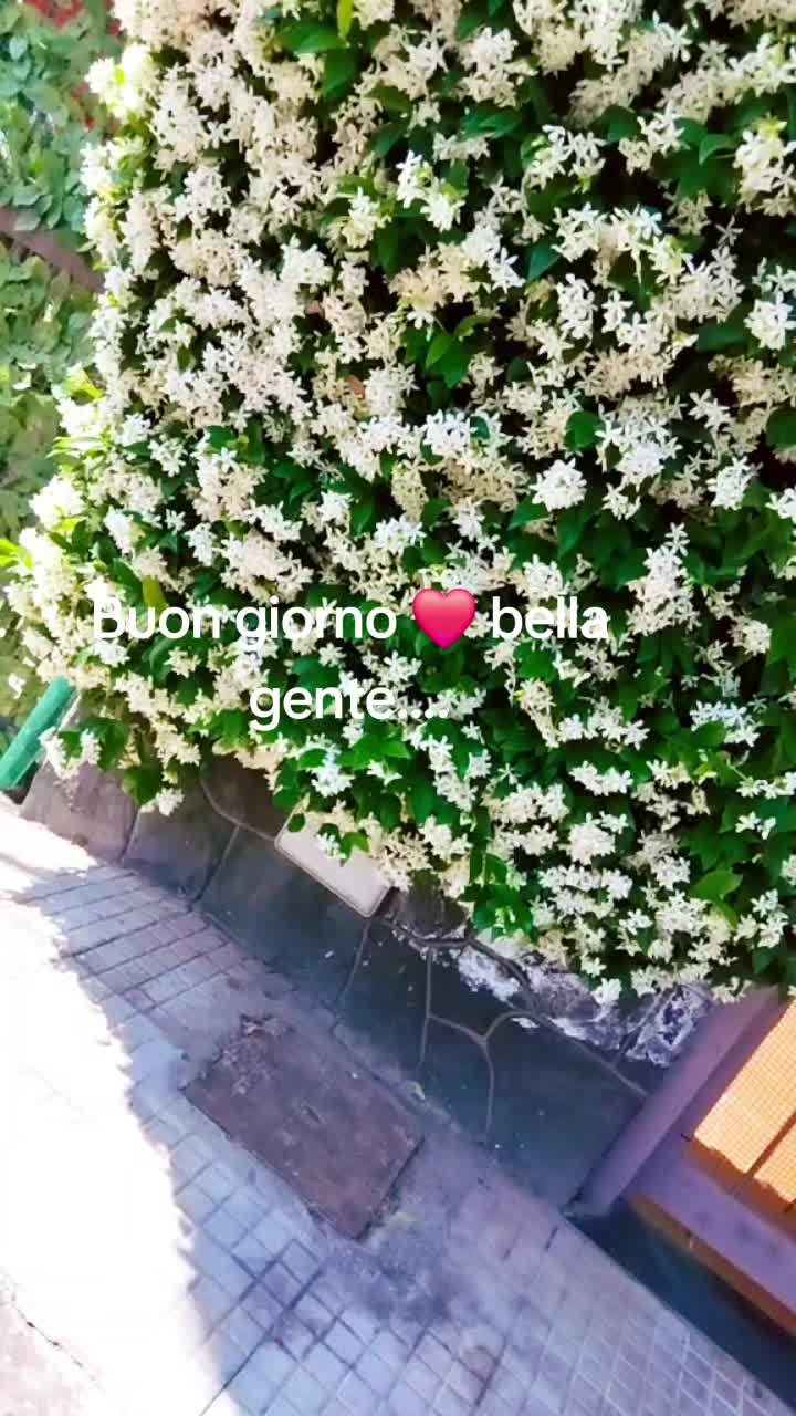 @vincenzoparasiliti2