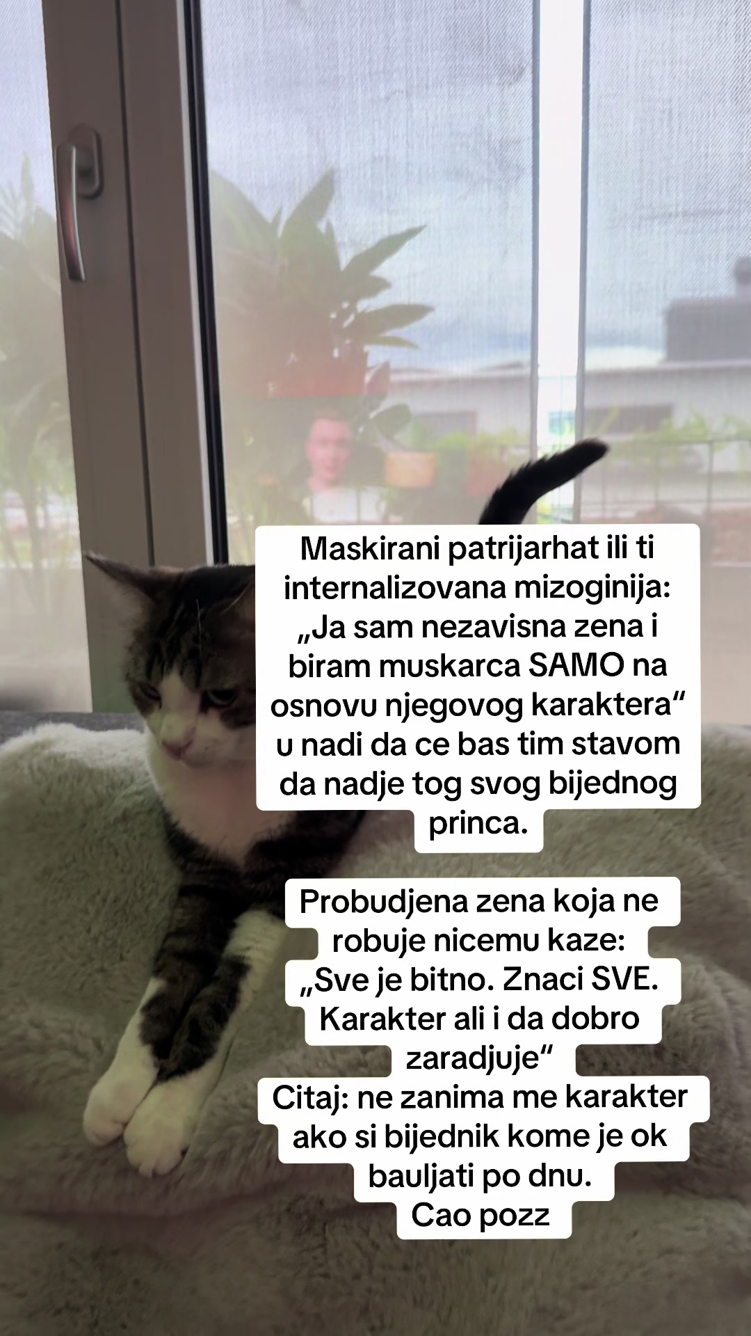 @moderna_alhemicarka_101