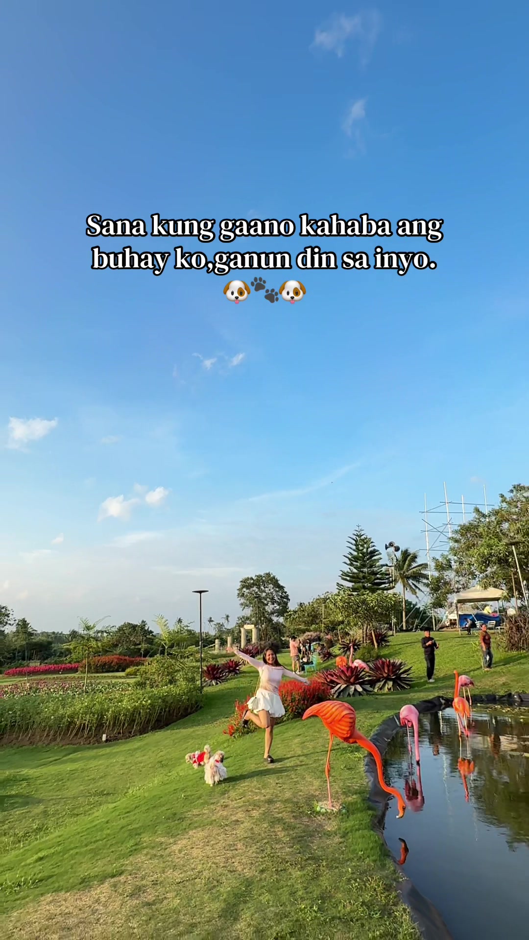 @AngelYap🎀