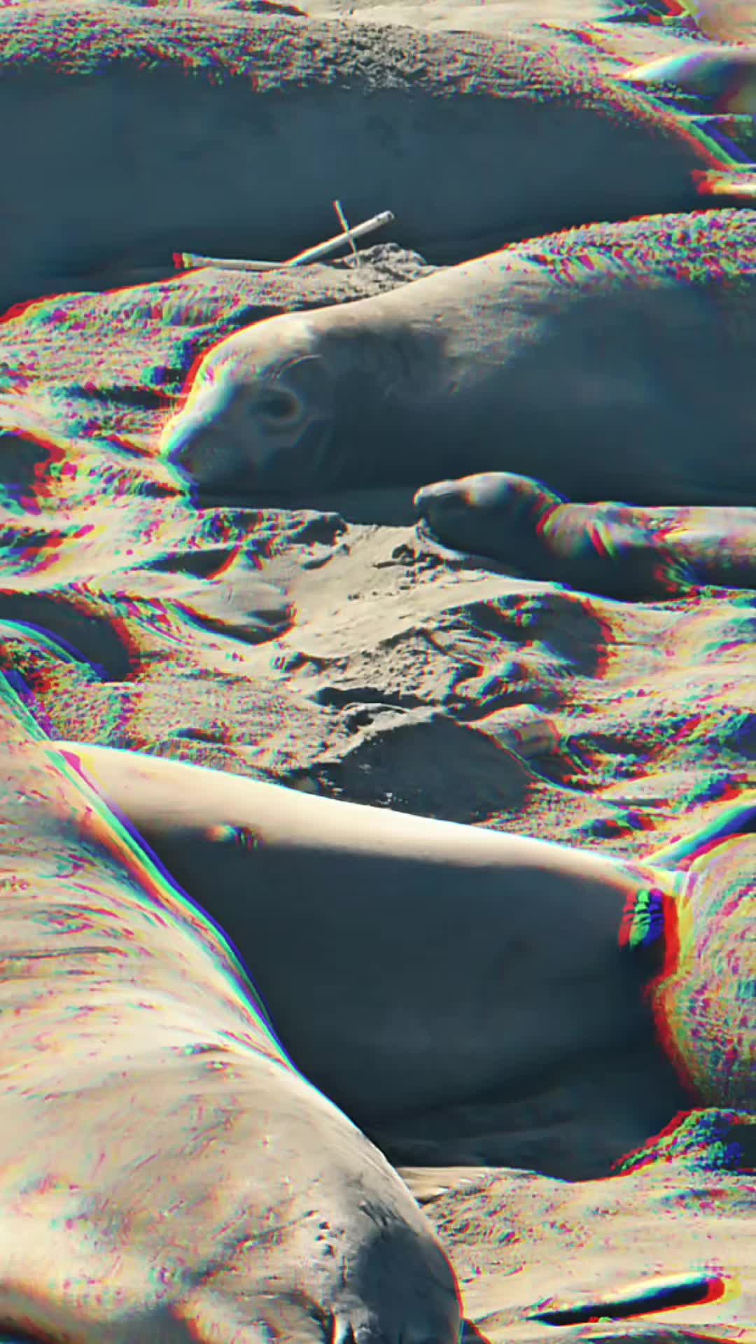 @MomNurse