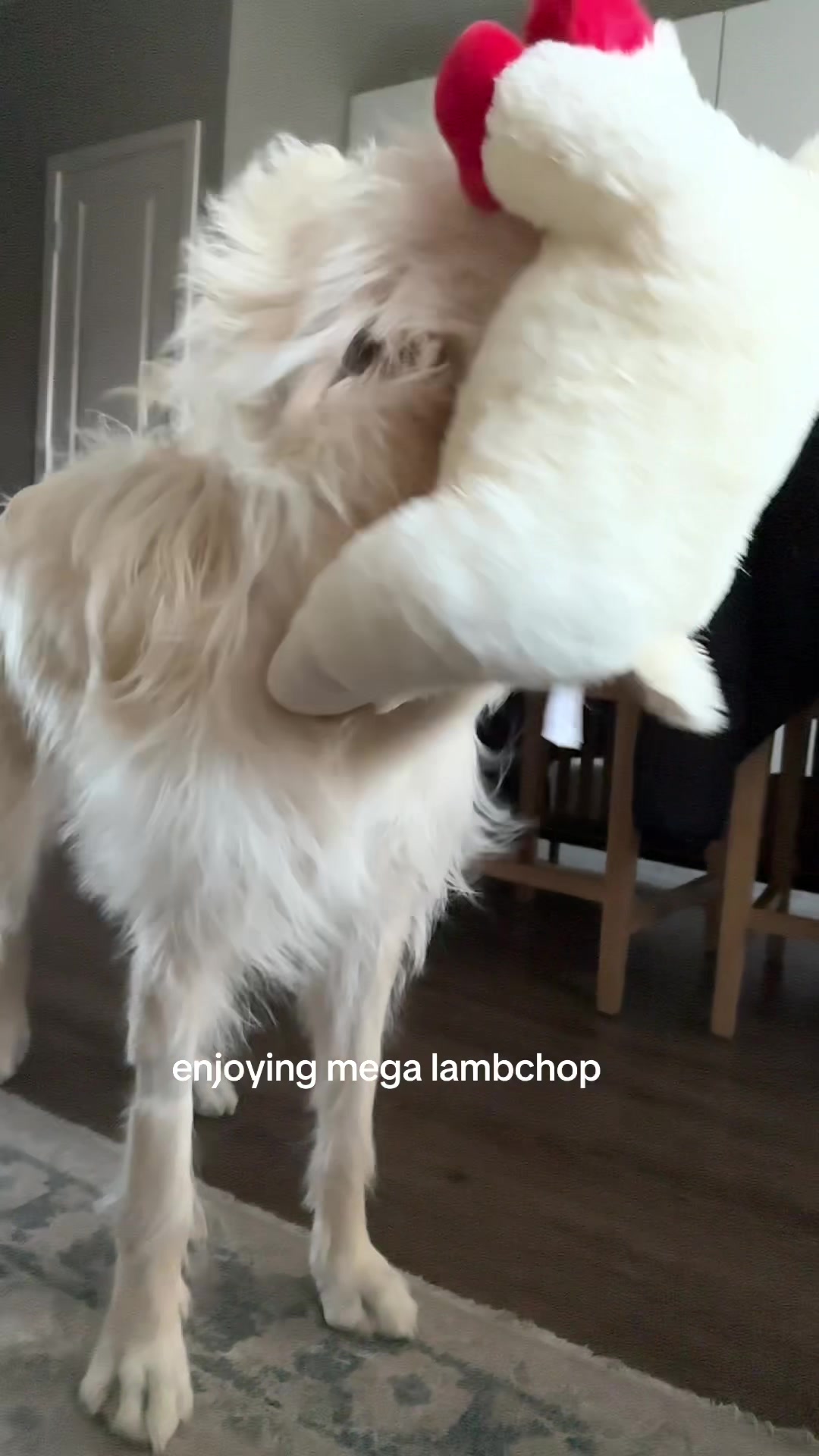 @elissa
