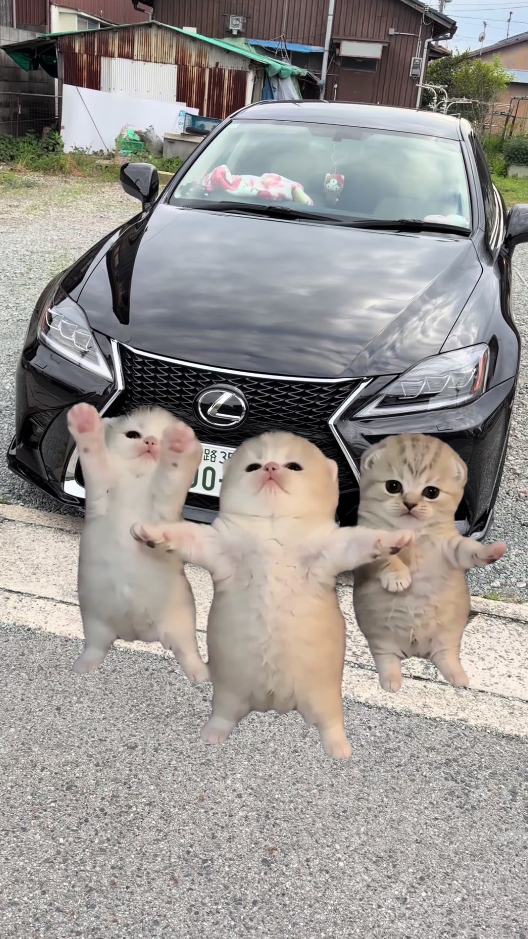 @ktty.250