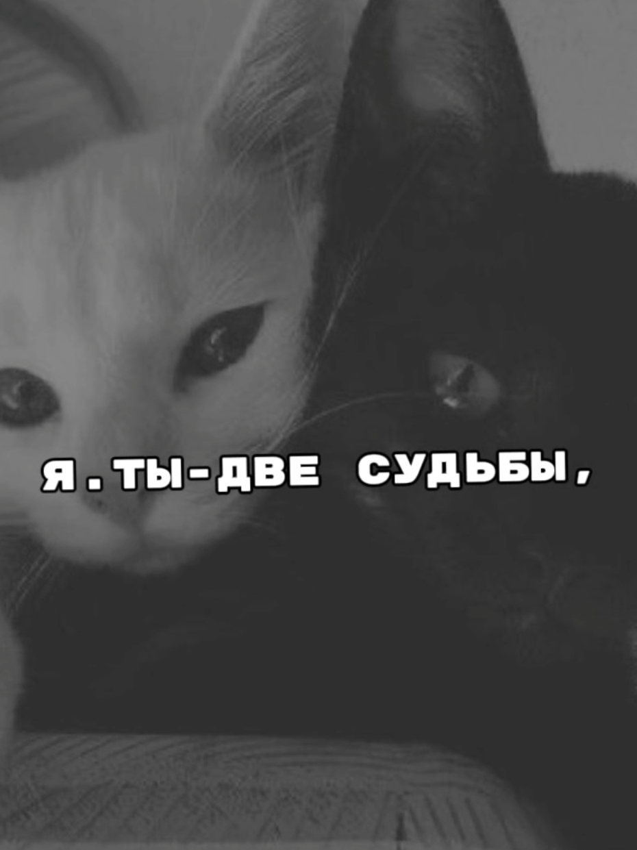 @༒