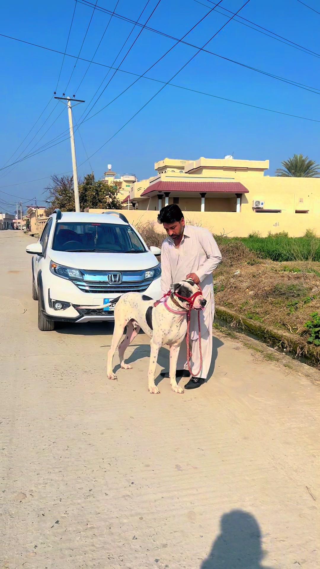 @Ch Umar Gujjar