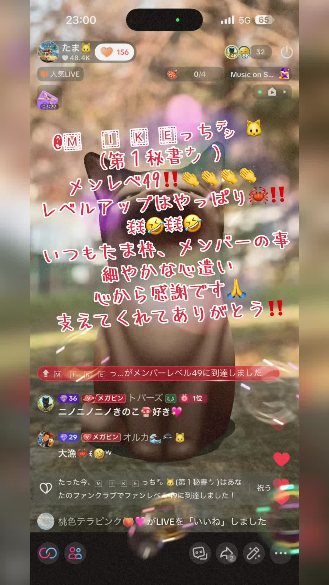 @たま🐱