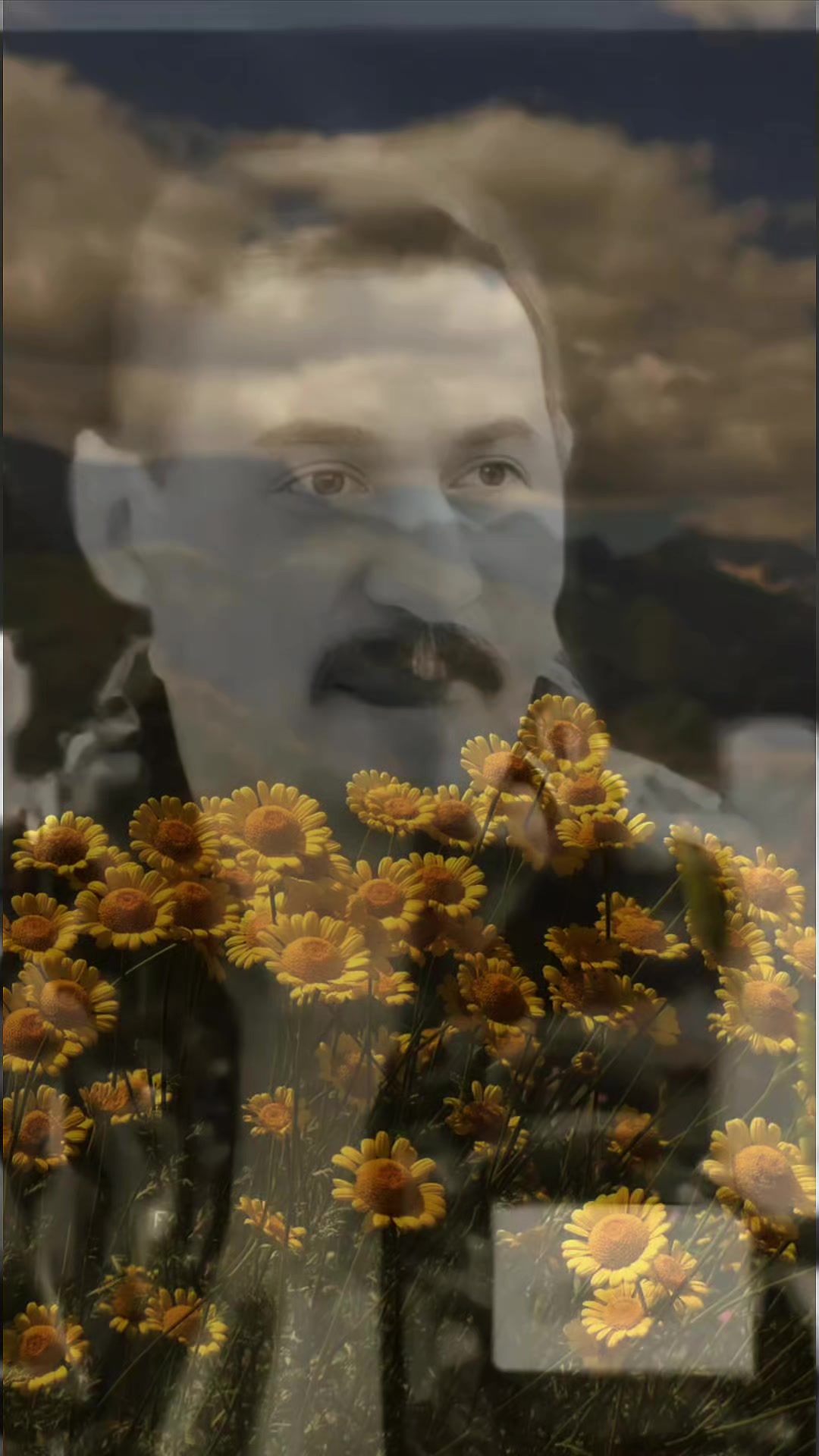 @★彡[𝚈ē𝗇𝖎أɱєᴢ]彡★