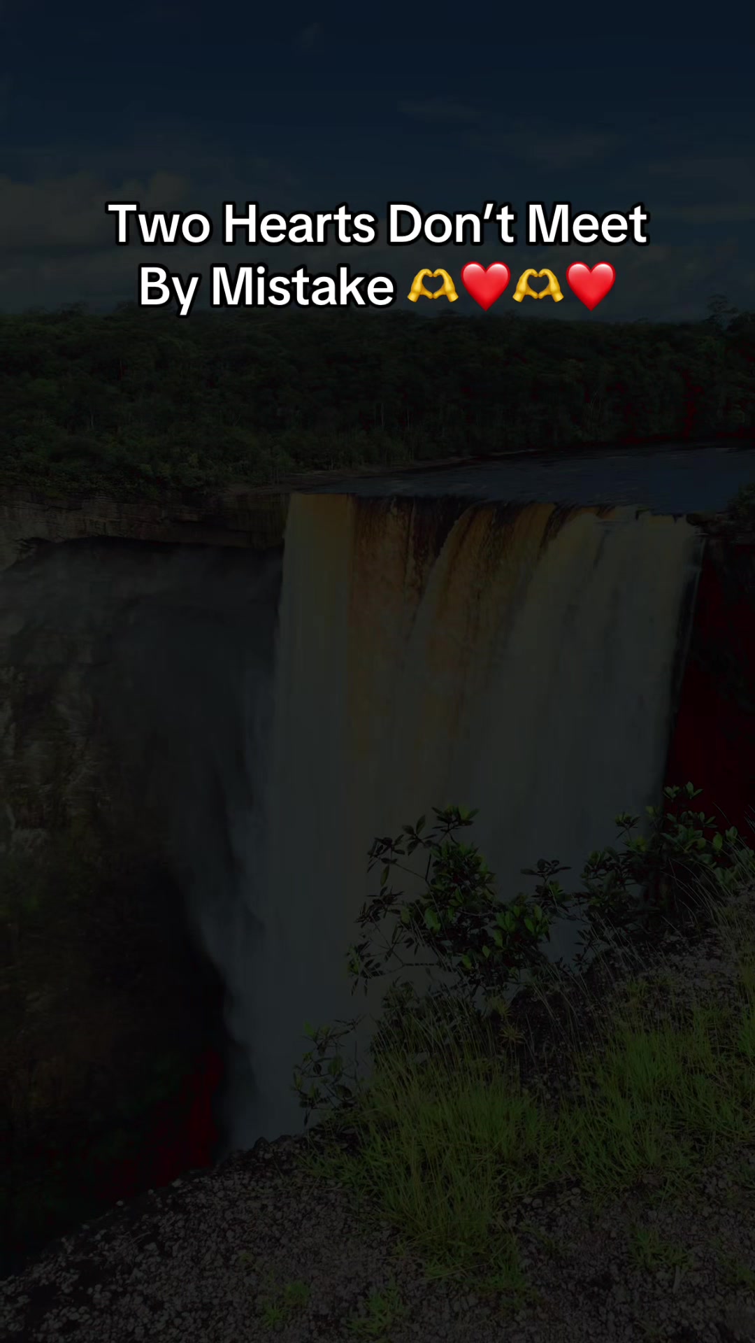 @Pandađïž