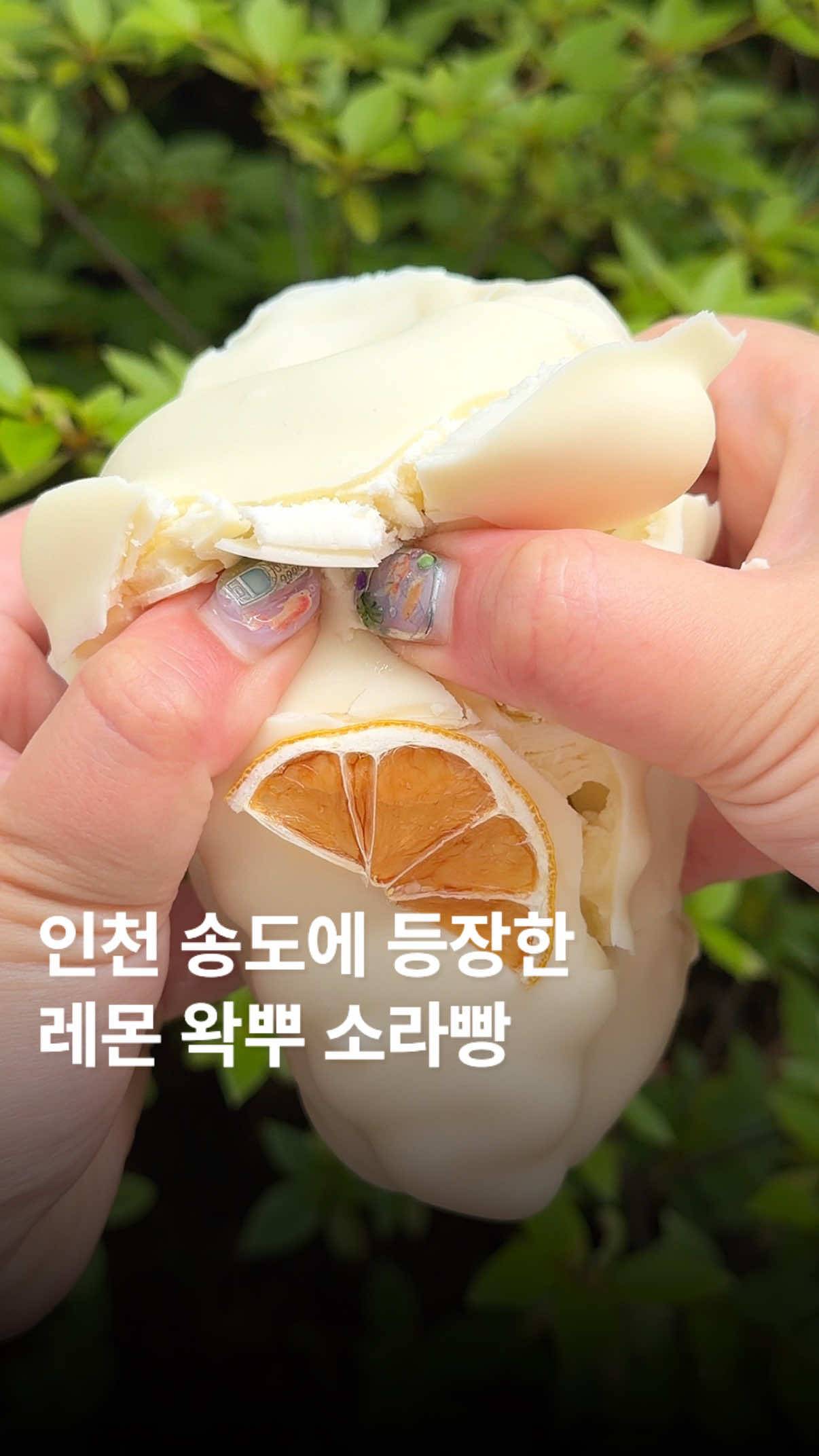 @๋ฌธ๋ฌ