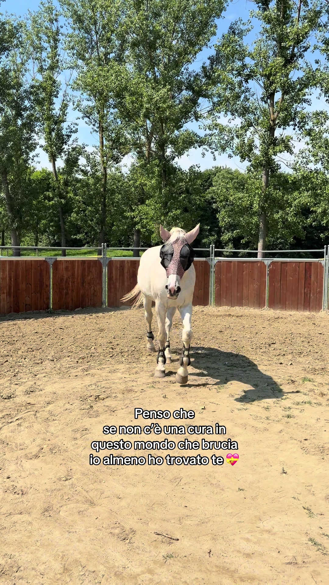 @Marta 🐴