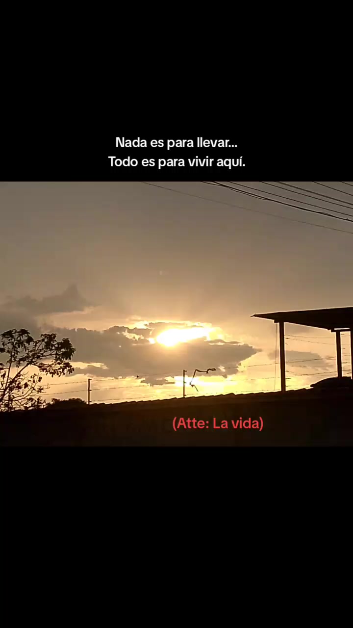 @yenifer.araque
