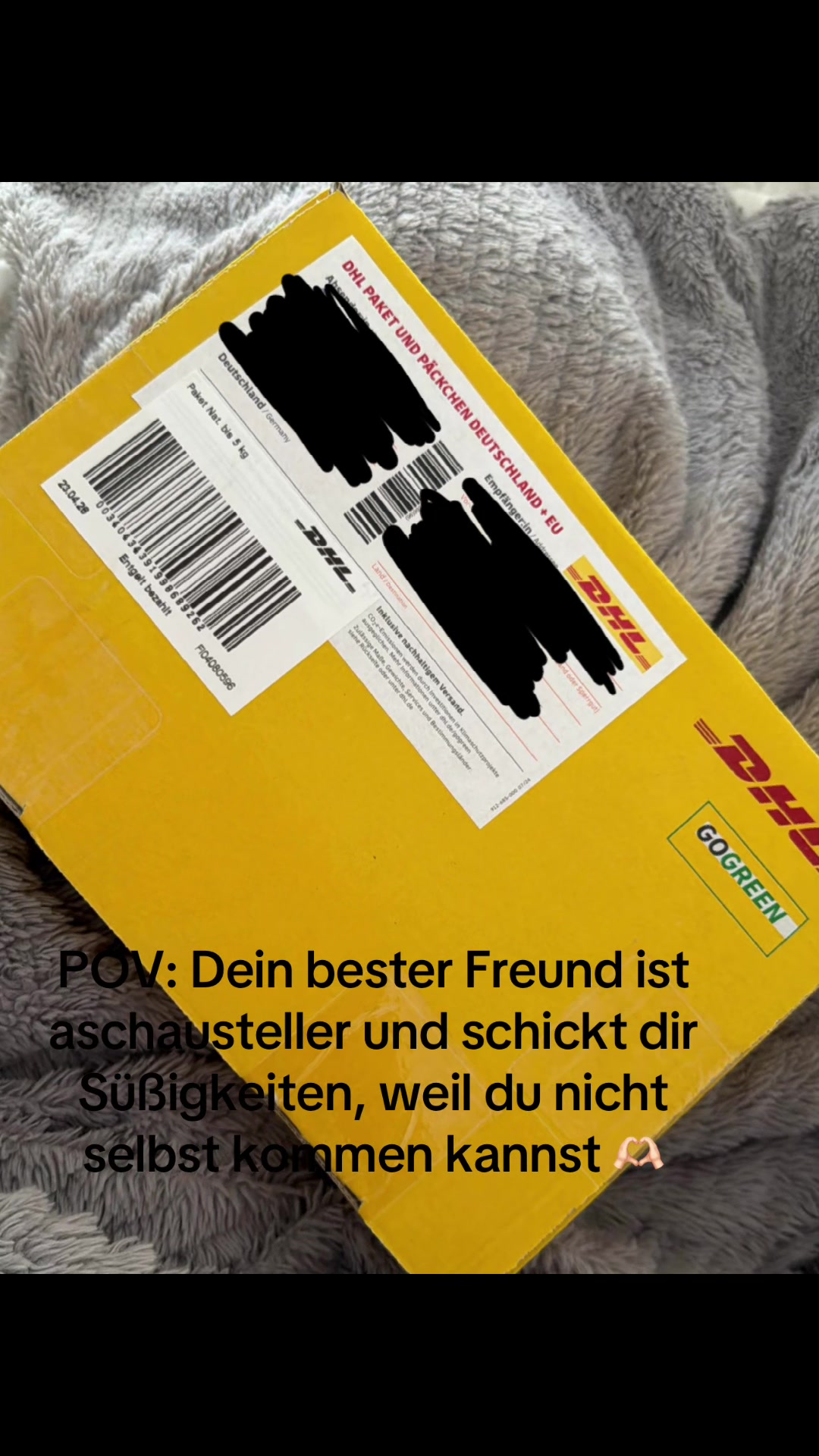 @Celina Gutknecht