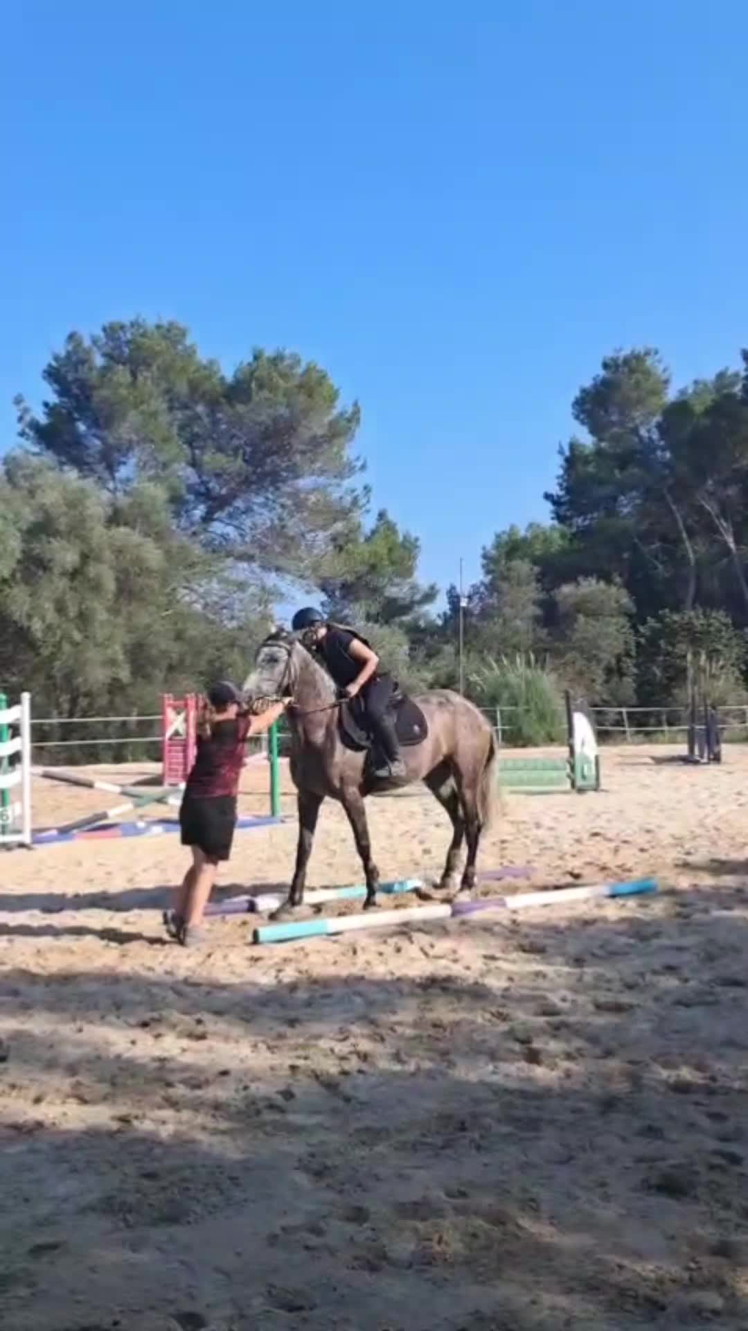 @haras de castille