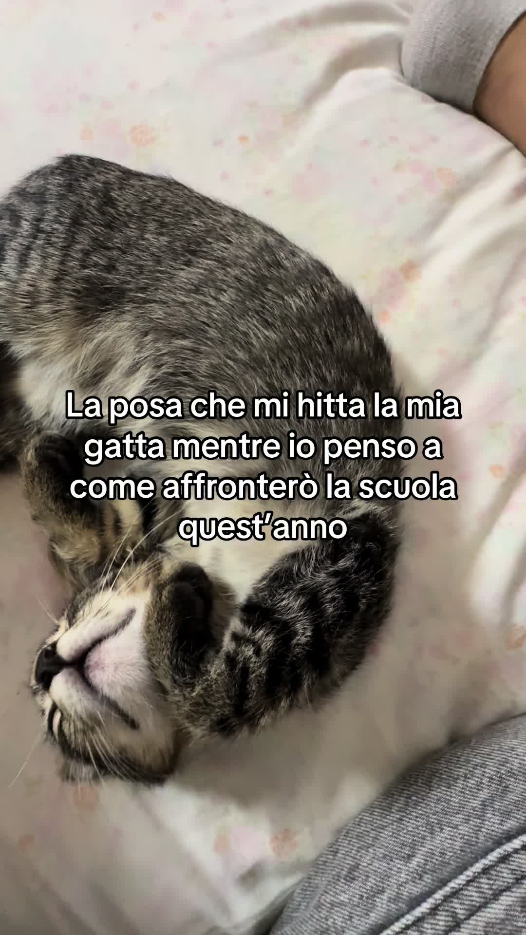 @alessia01112