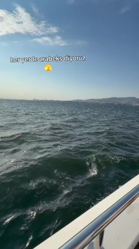 @AYŞE