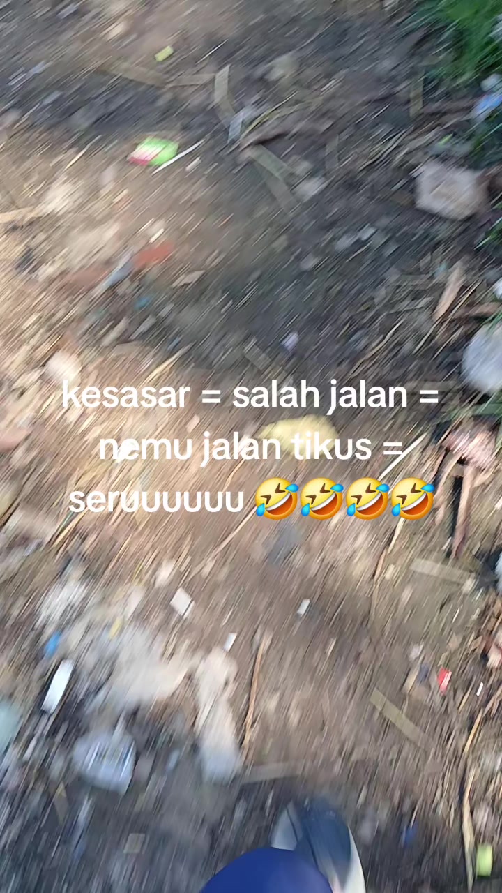 @tintris