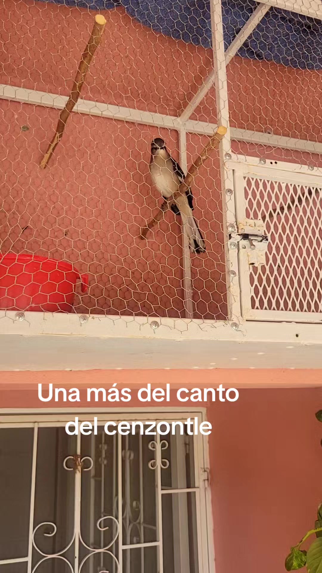 @Oscar Guevara