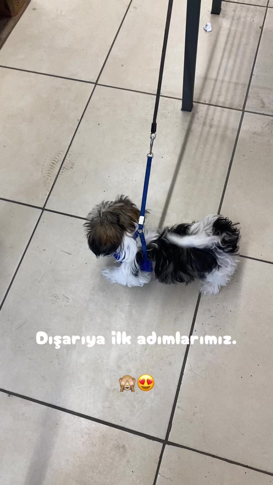 @sinem 🧚🏼♀️