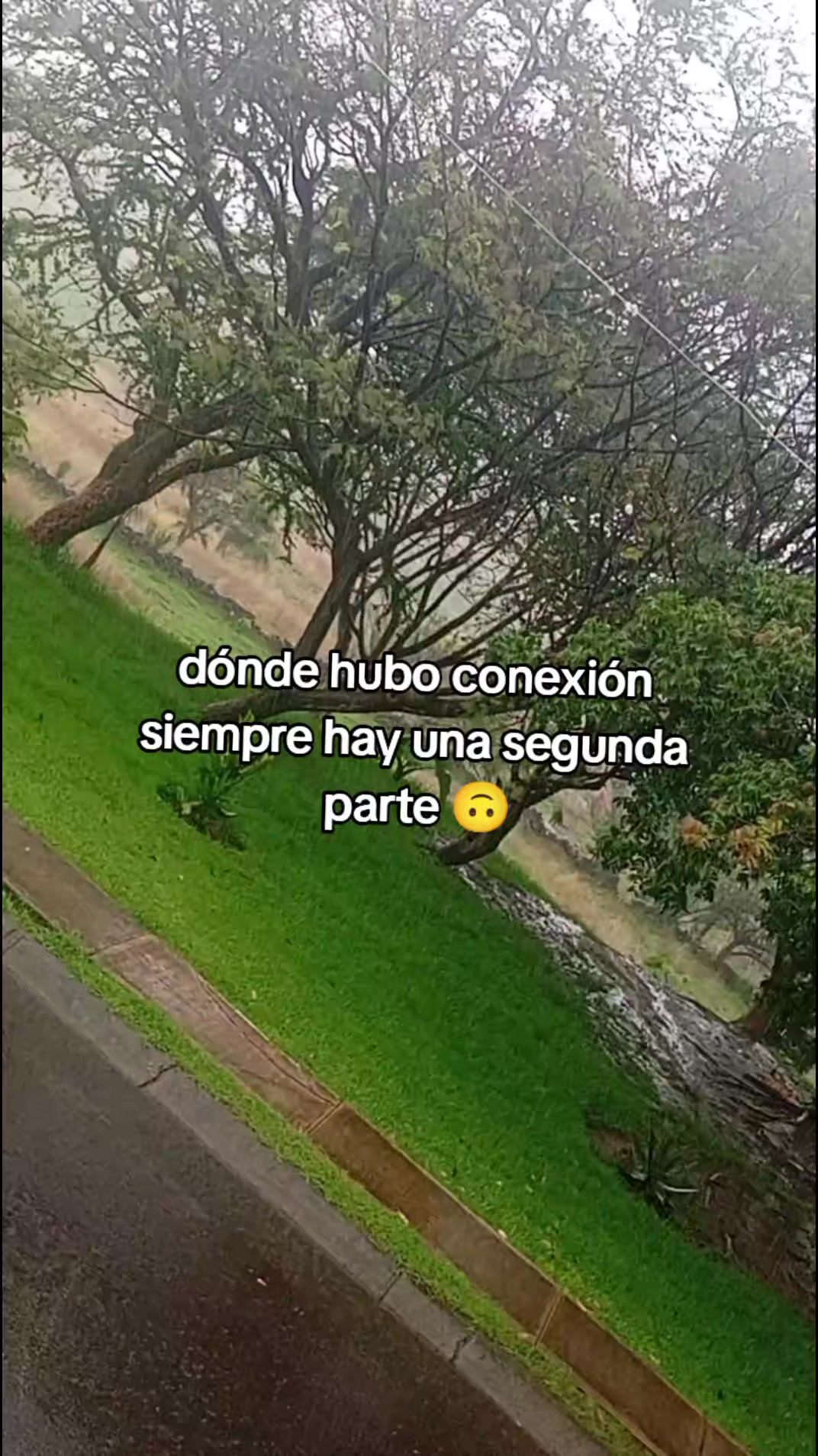 @user4324187328395