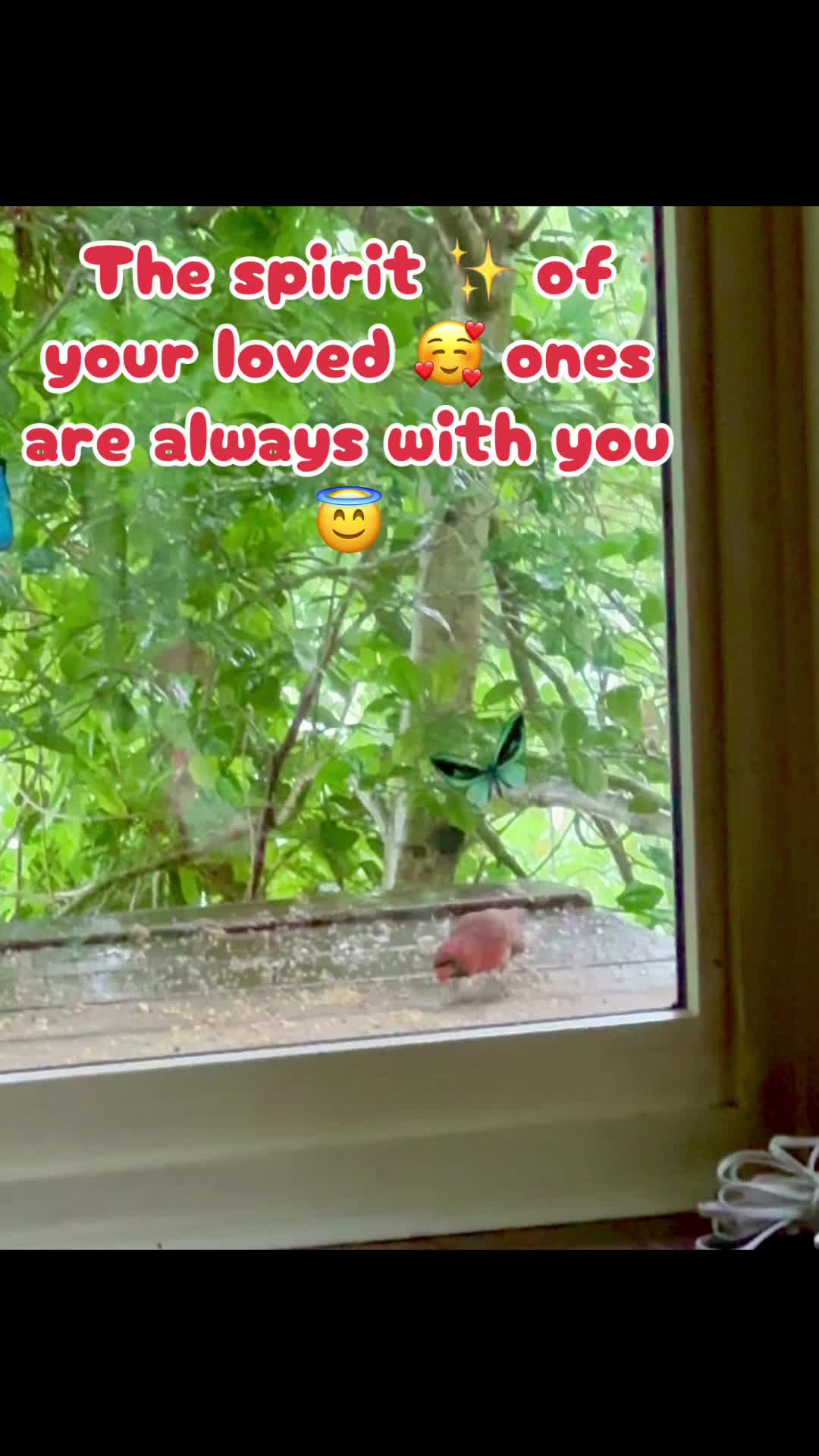 @E🌹