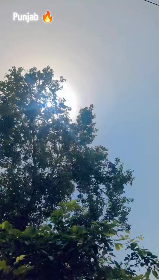 @F@Z@L😈بھٹی🦅🔥