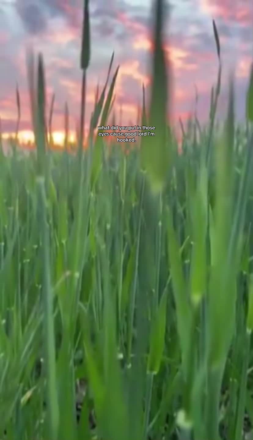 @sǝlʎW