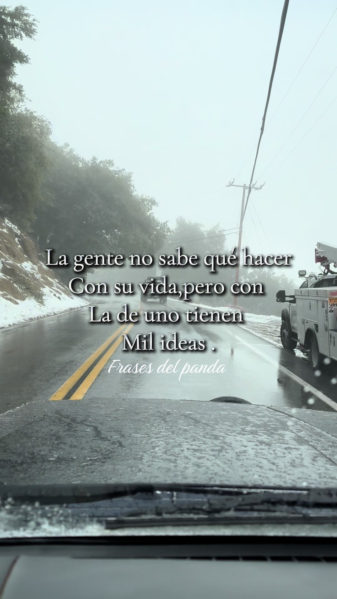 @frases del panda 🥷🏽