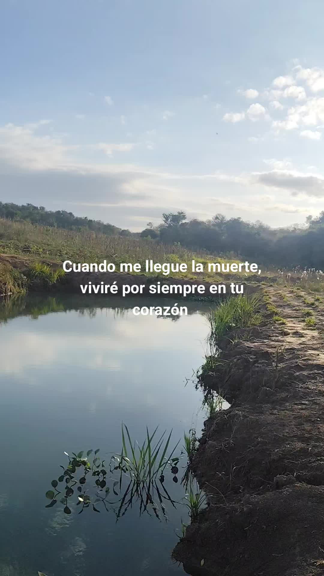 @️ Belén Parris 🇵🇾