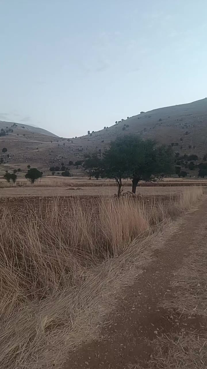 @Nazif Geriş
